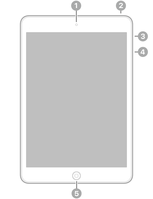 iPad miniの前面。上部中央の前面側カメラ、上部右側のトップボタン、右側の消音/画面の向きをロックスイッチおよび音量ボタン、下部中央のホームボタンが示されています。