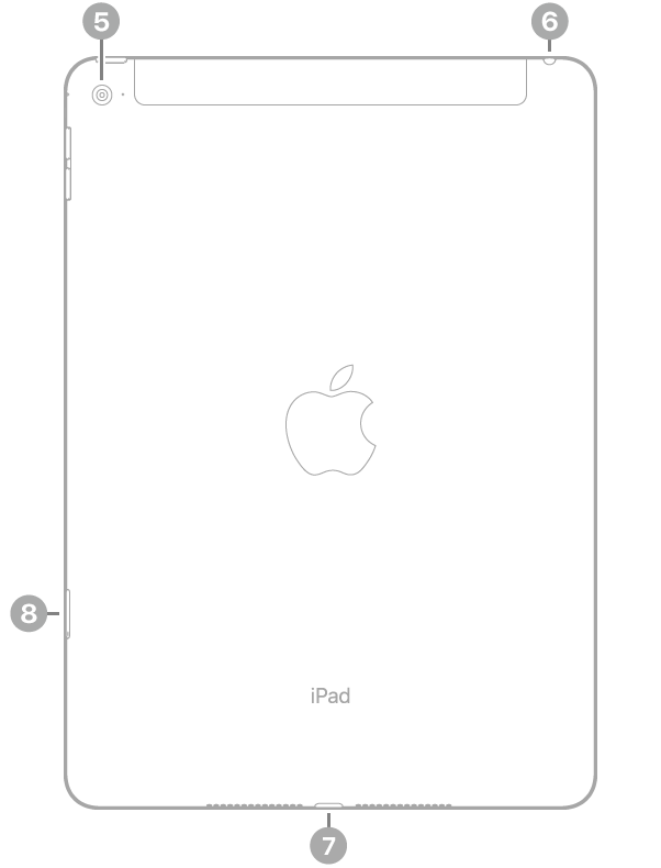 Vista traseira do iPad Air 2 com as seguintes chamadas, no sentido horário, a partir do canto superior esquerdo: câmara traseira, entrada para auscultadores, conector Lightning e tabuleiro para o cartão SIM (Wi-Fi + Cellular).