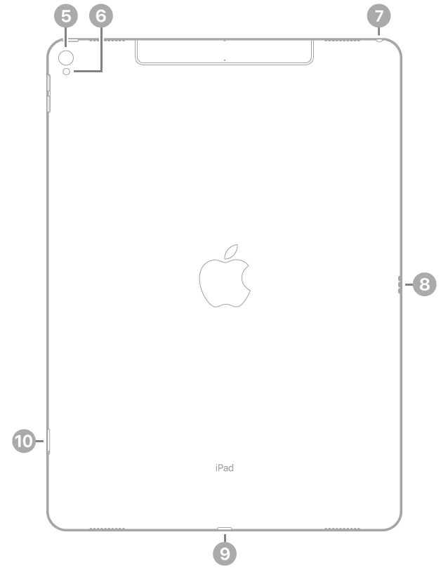 Vedere din spate a unui iPad Pro, cu explicații dispuse în sensul acelor de ceasornic, începând din stânga sus: camera din spate, bliț, conector de căști, Smart Connector, conector Lightning și compartiment SIM (Wi-Fi + Cellular).