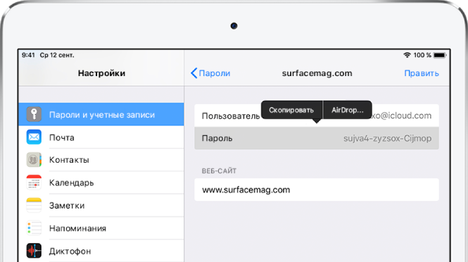 Экран «Пароли и учетные записи» для веб-сайта. Выбран раздел пароля. Над ним отображается меню с вариантами «Скопировать» и «AirDrop».
