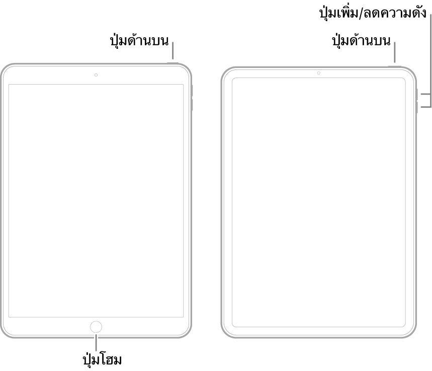 ภาพประกอบของ iPad รุ่นต่างๆ สองประเภท ซึ่งหงายหน้าจอขึ้น ภาพประกอบด้านซ้ายสุดแสดงรุ่นที่มีปุ่มโฮมที่ด้านล่างสุดของอุปกรณ์ และมีปุ่มด้านบนที่ขอบด้านขวาบนสุดของอุปกรณ์ ภาพประกอบด้านขวาสุดแสดงรุ่นที่ไม่มีปุ่มโฮม บนอุปกรณ์นี้ ปุ่มเพิ่มเสียงและปุ่มลดเสียงแสดงอยู่ที่ขอบด้านขวาของอุปกรณ์ ใกล้กับด้านบนสุด และปุ่มด้านบนแสดงอยู่ขอบด้านขวาบนสุดของอุปกรณ์