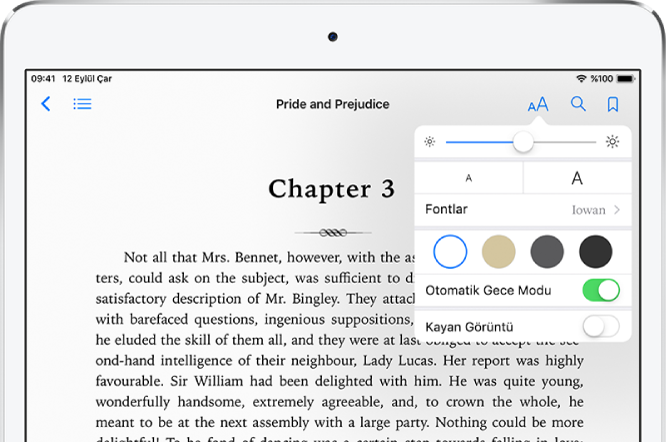 Kitapta, yukarıdan aşağıya doğru parlaklık, font puntosu, font stili, sayfa rengi, otomatik gece modu ve kayan görüntü denetimlerini gösteren görünüş menüsü seçili.