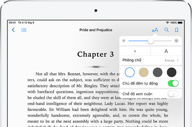 Menu giao diện trong sách được chọn đang hiển thị các điều khiển, từ trên xuống dưới, cho độ sáng, cỡ chữ, kiểu phông chữ, màu trang, chủ đề đêm tự động và chế độ xem cuộn.