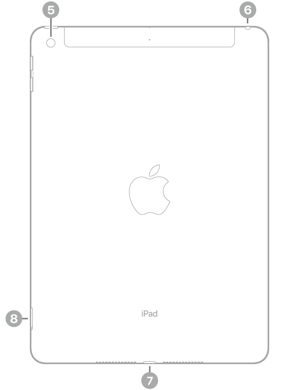 iPad 背面视图，从左上方顺时针方向的标注依次为：后置摄像头、耳机插孔、闪电接口以及 SIM 卡托架（无线局域网 + 蜂窝网络机型）。
