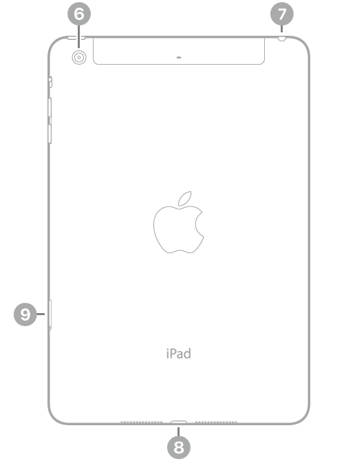 iPad 背面视图，从左上方顺时针方向的标注依次为：后置摄像头、耳机插孔、闪电接口以及 SIM 卡托架（无线局域网 + 蜂窝网络机型）。