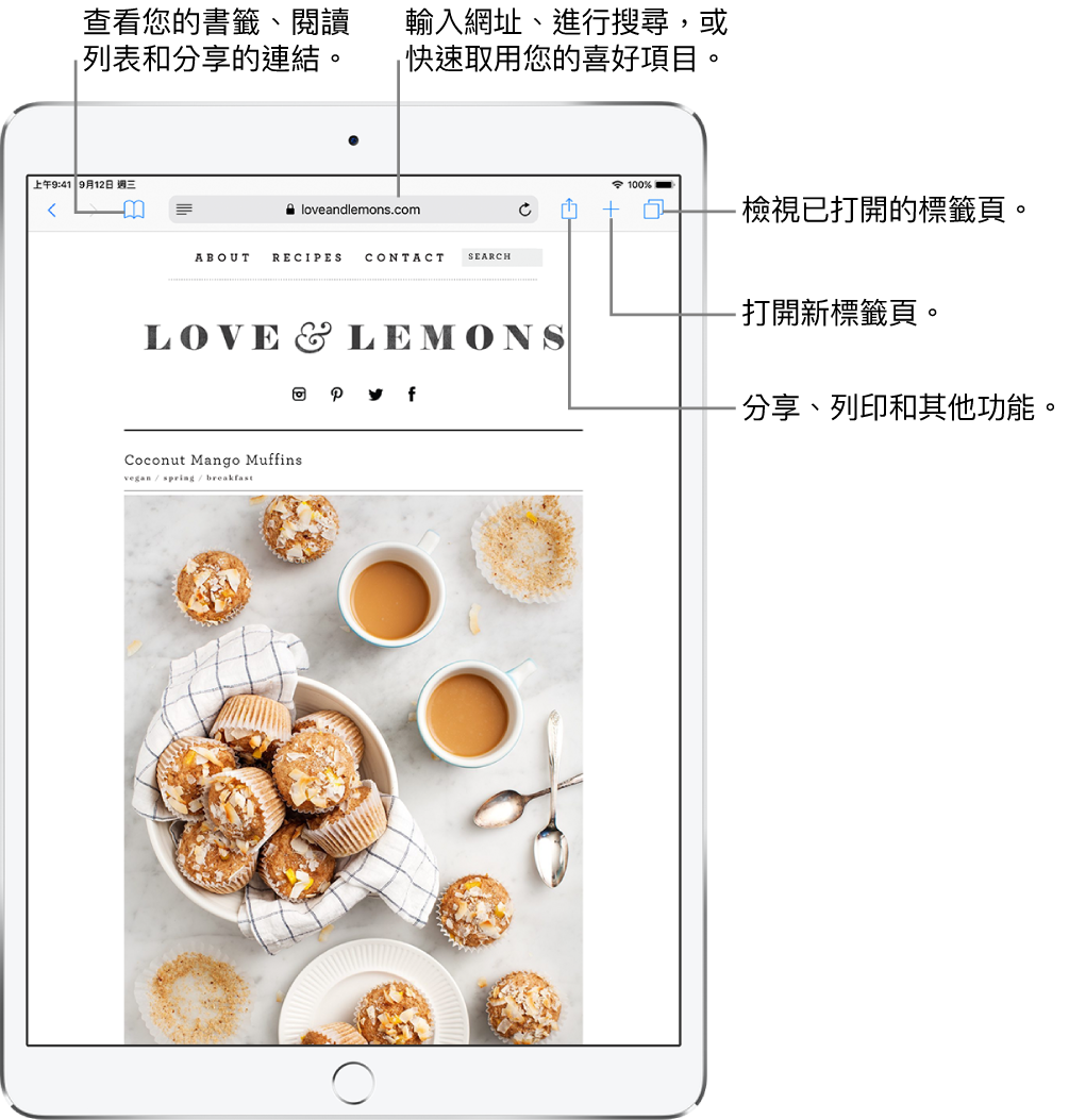 於 Safari 中開啟網頁，這些控制項目位於頂部，由左至右為：「往後」、「往前」、「書籤」按鈕、網址欄位、「分享」、「新增標籤頁」和「頁面」按鈕。