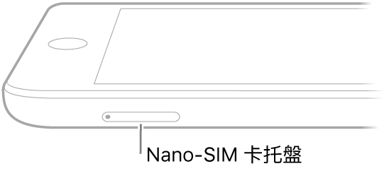 iPad 側面圖例，說明文字指向 Nano-SIM 卡托盤。