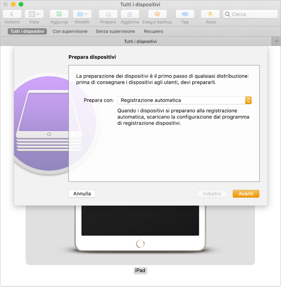 Puoi utilizzare un approccio di configurazione completamente automatico per gestire i dispositivi.