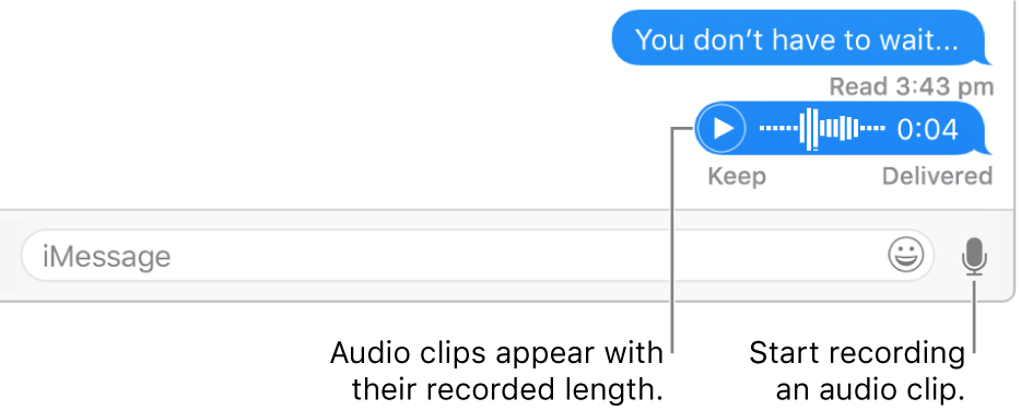 A conversation in the Messages window, showing the Soundbite button next to the text field at the bottom of the window.