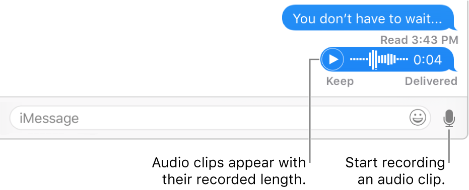 A conversation in the Messages window, showing the Soundbite button next to the text field at the bottom of the window.