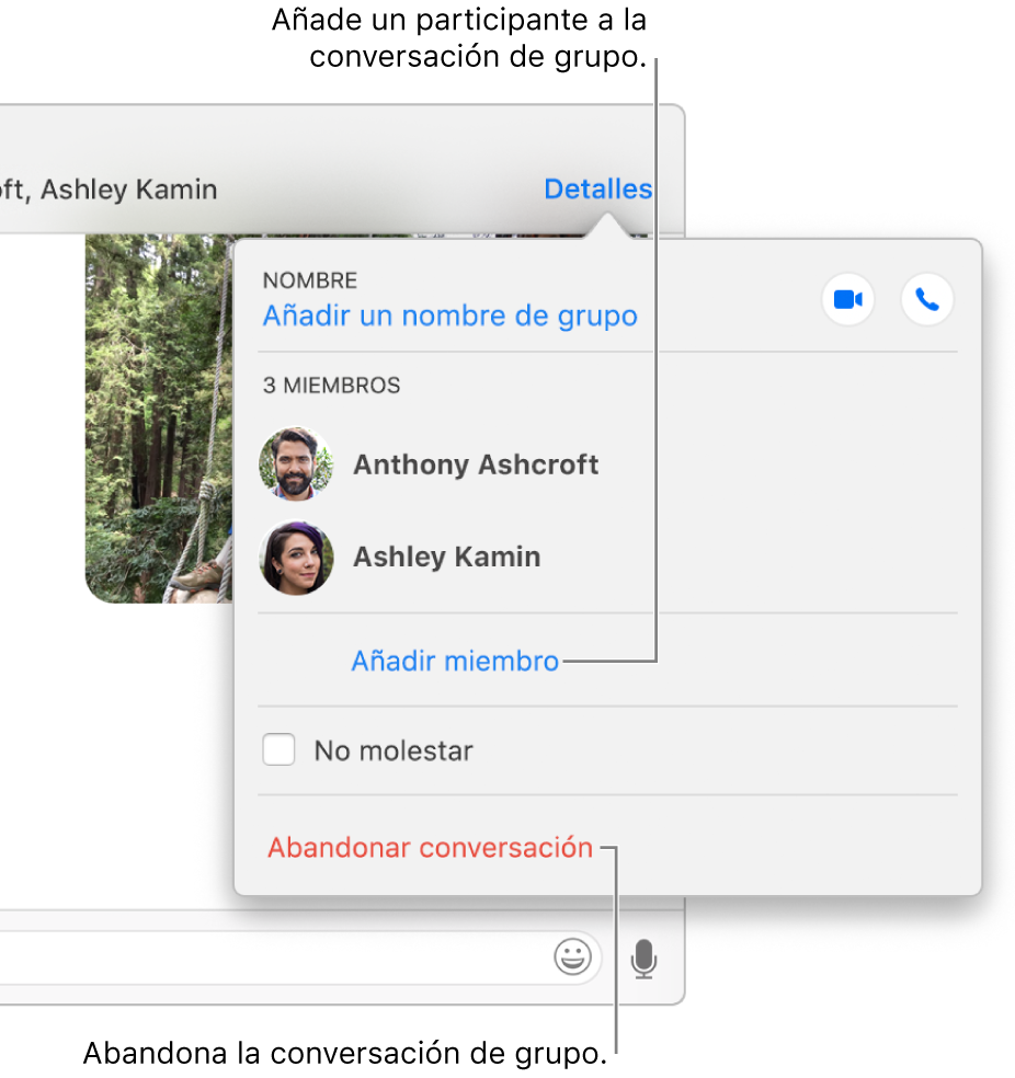 Vista de detalles, que aparece al hacer clic en Detalles en una conversación de grupo. “Añadir miembro” aparece debajo del nombre del último participante de la lista, mientras que “Abandonar conversación” aparece en la parte inferior del cuadro de diálogo.