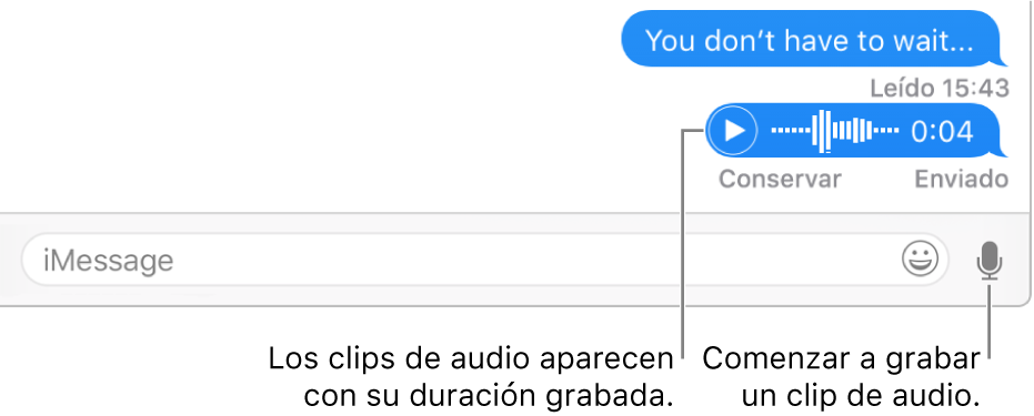 Una conversación en la ventana de Mensajes, con el botón de Extracto de audio junto al campo de texto mostrado en la parte inferior de la ventana.