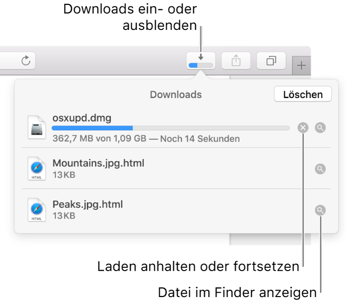 Die Taste „Downloads“ in der Symbolleiste und darunter die Liste der Downloads.