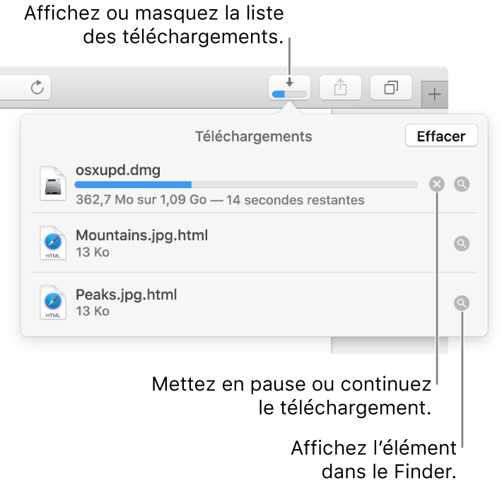 Le bouton Téléchargements de la barre d’outils, avec la liste de téléchargements sous celui-ci.