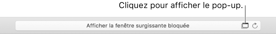 Champ de recherche intelligente avec une icône permettant d’autoriser les pop-up sur la droite.