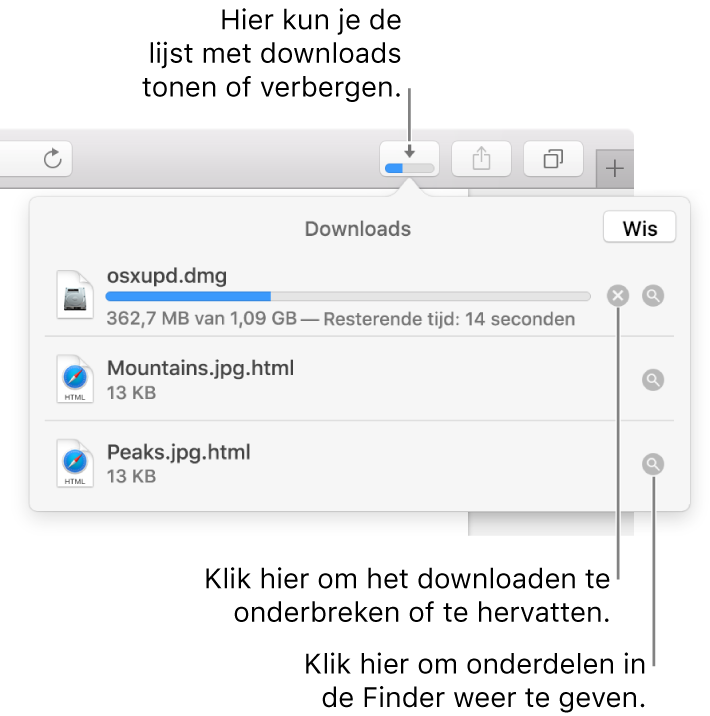 De knop 'Downloads' in de knoppenbalk, met daaronder de lijst met downloads.
