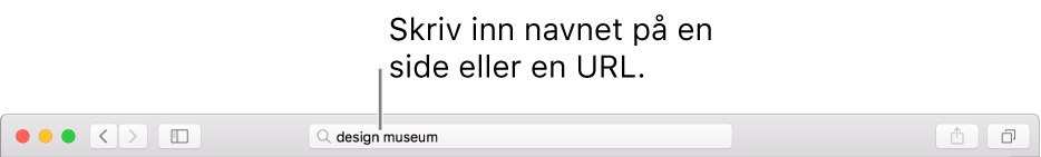 Det smarte søkefeltet i Safari, der du kan skrive inn en sides navn eller URL.