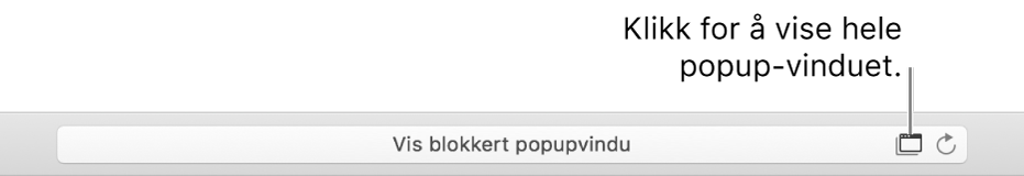 Det smarte søkefeltet viser et symbol til høyre for å tillate popupvinduer.