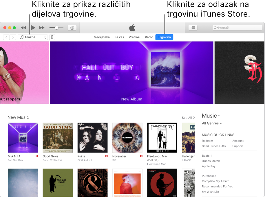 Glavni prozor trgovine iTunes Store: U navigacijskoj traci Trgovina je istaknuta. U gornjem lijevom kutu odaberite prikaz drugog sadržaja u Trgovini (kao što je Glazba ili TV).