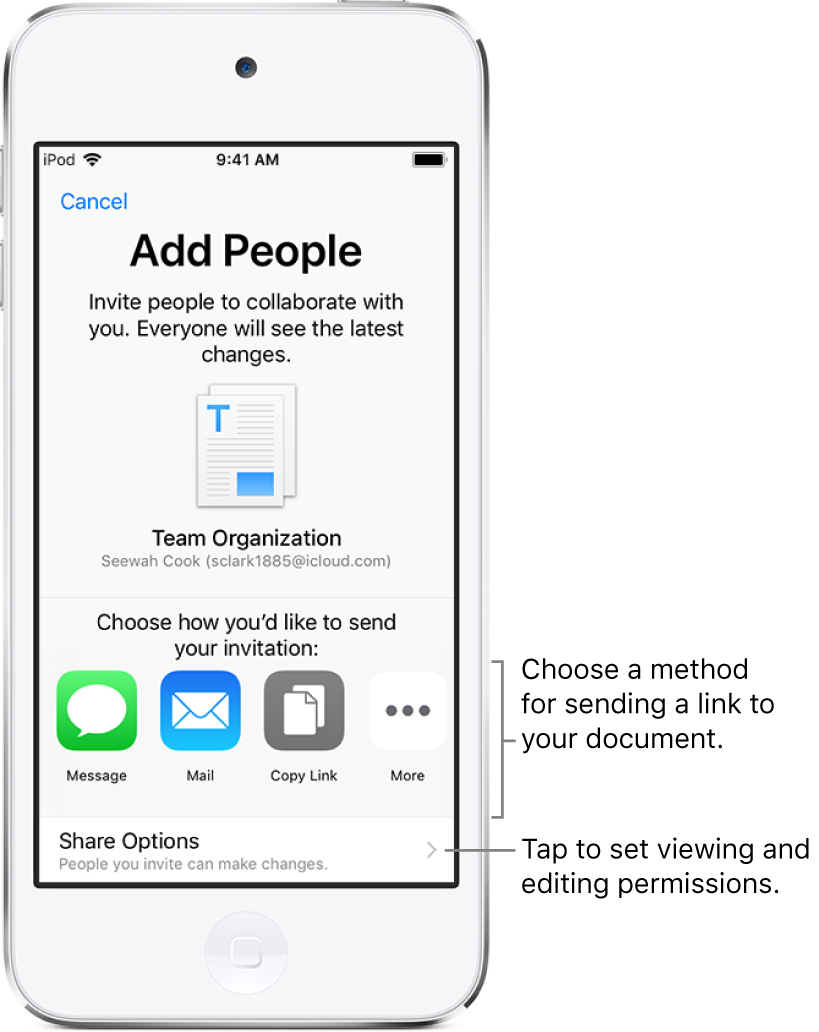 A screen for inviting people to view and edit your file. The methods for sending the invitation include Message and Mail. Share Options appears below them.
