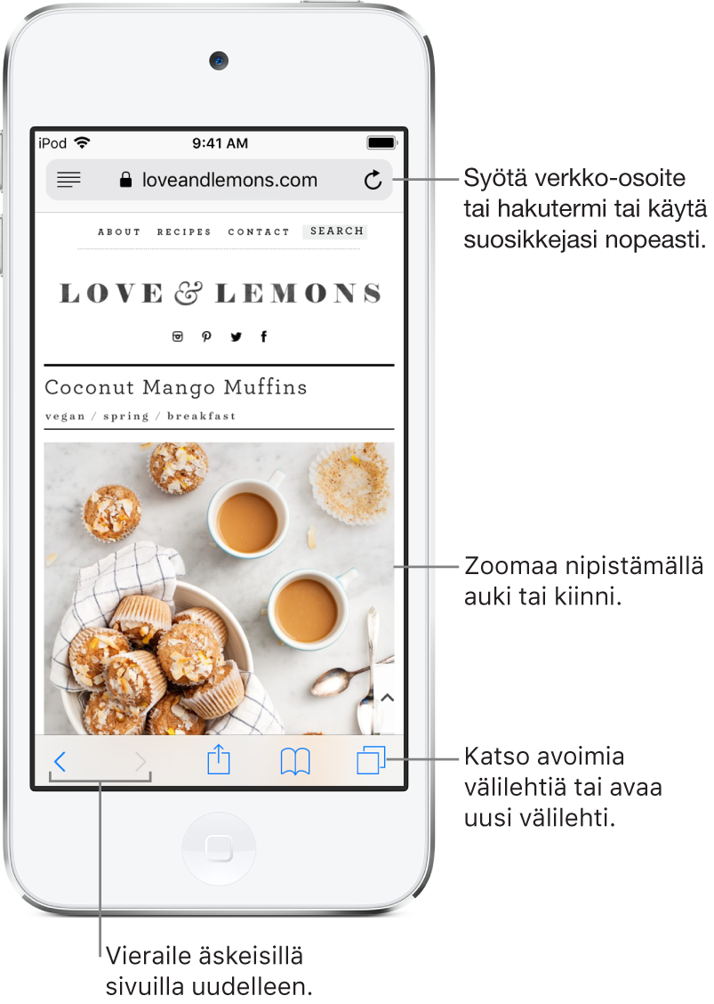 Verkkosivusto avoinna Safari-ikkunassa, osoitekenttä ylimpänä. Alhaalla vasemmalta oikealle ovat painikkeet Edellinen, Seuraava, Jaa, Kirjanmerkit ja Sivut.