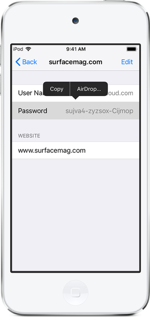 L’écran de compte pour un site web. La section mot de passe est sélectionnée et un menu comprenant les éléments Copier et AirDrop s’affichent au-dessus.