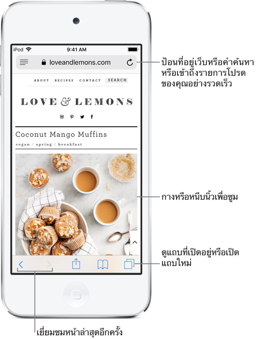 เว็บไซต์ที่เปิดในหน้าต่าง Safari โดยมีช่องที่อยู่เว็บไซต์ด้านบนสุด ที่ด้านล่างสุด เรียงจากซ้ายไปขวา คือปุ่มย้อนกลับ ปุ่มไปข้างหน้า ปุ่มแชร์ ปุ่มที่คั่นหน้า และปุ่มหน้า