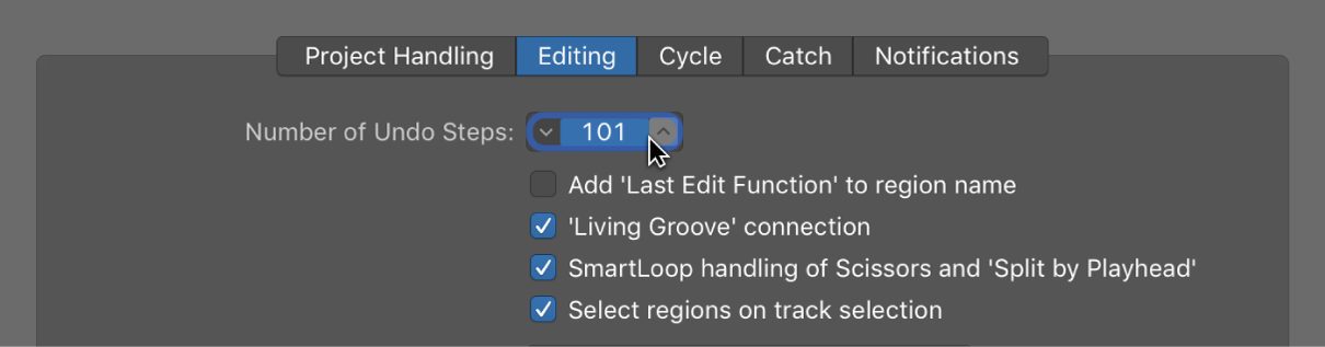 Figure. “Number of Undo Steps” field in the Editing pane in the General preferences.