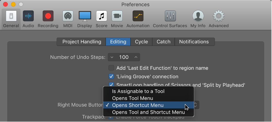 Figure. Right Mouse Button menu in the Editing pane in the General preferences.