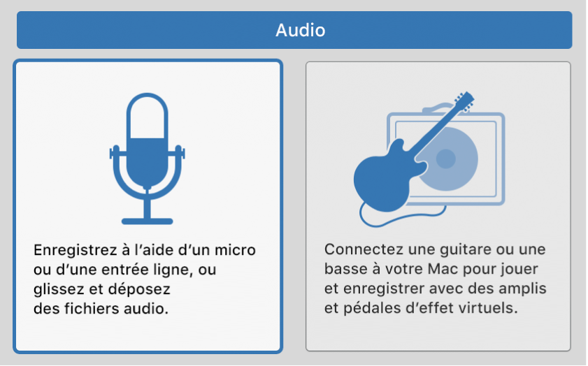 Figure. Sélection d’une icône Audio dans la zone de dialogue Nouvelles pistes.