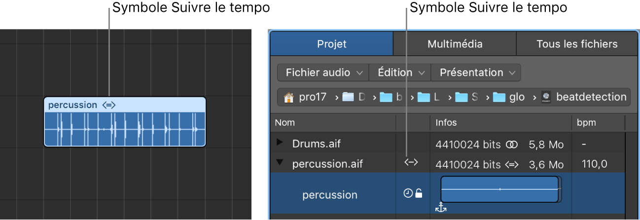 Figure. Symbole Suivre le tempo sur une région audio et dans le navigateur audio du projet.