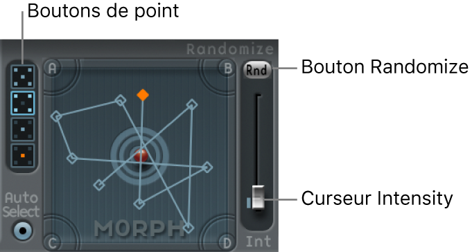Figure. Pad Morph avec boutons Point et paramètres Randomize.