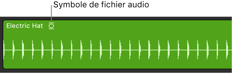 Figure. Région audio présentant un symbole de fichier audio compressé à droite de son nom.