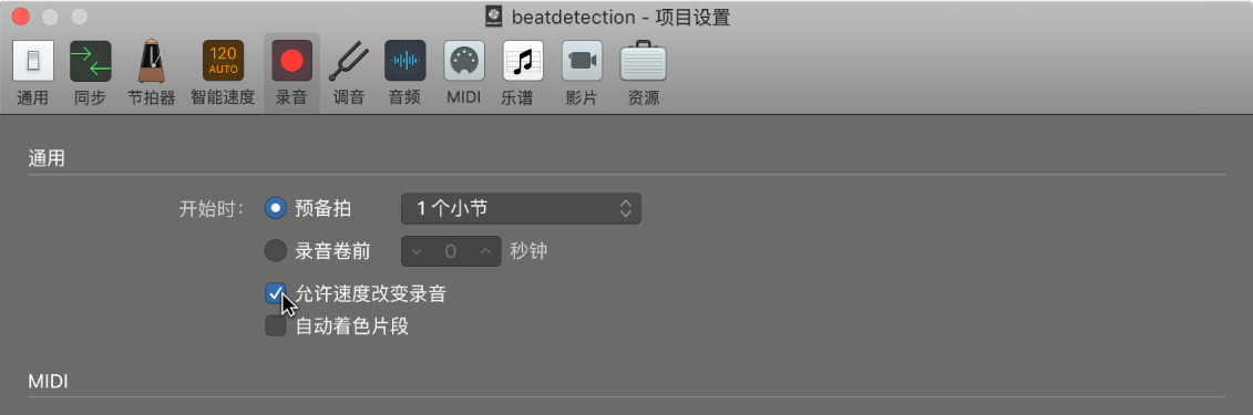 图。“录音项目设置”面板。