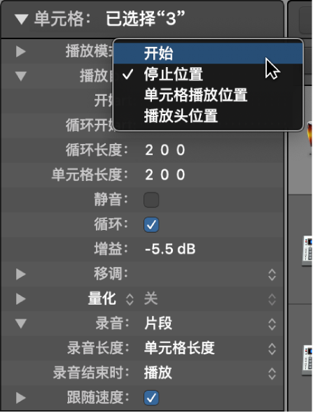 图。单元格检查器中的“播放自”设置。