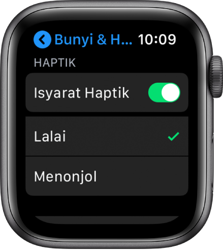 Seting Bunyi & Haptik pada Apple Watch, dengan suis Isyarat Haptik dan pilihan Lalai dan Utama di bawahnya.