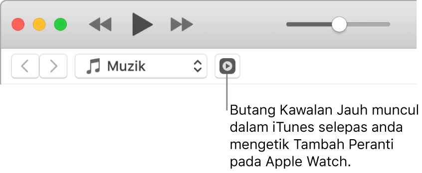 Butang Remote dalam iTunes muncul semasa anda cuba menambah pustaka ke Apple Watch.