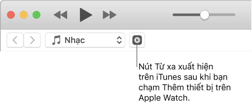 Nút Điều khiển từ xa trong iTunes xuất hiện trong khi bạn đang cố thêm thư viện vào Apple Watch.
