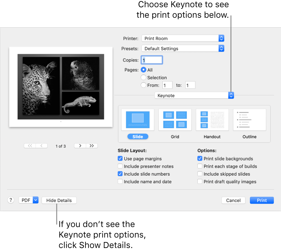 The Print dialog with Keynote selected in the pop-up menu below Pages. Below it are print layouts for Slide, Grid, Handout, and Outline with Slide selected. Below the layouts are checkboxes to show margins, include presenter notes, print draft quality images, and other options.