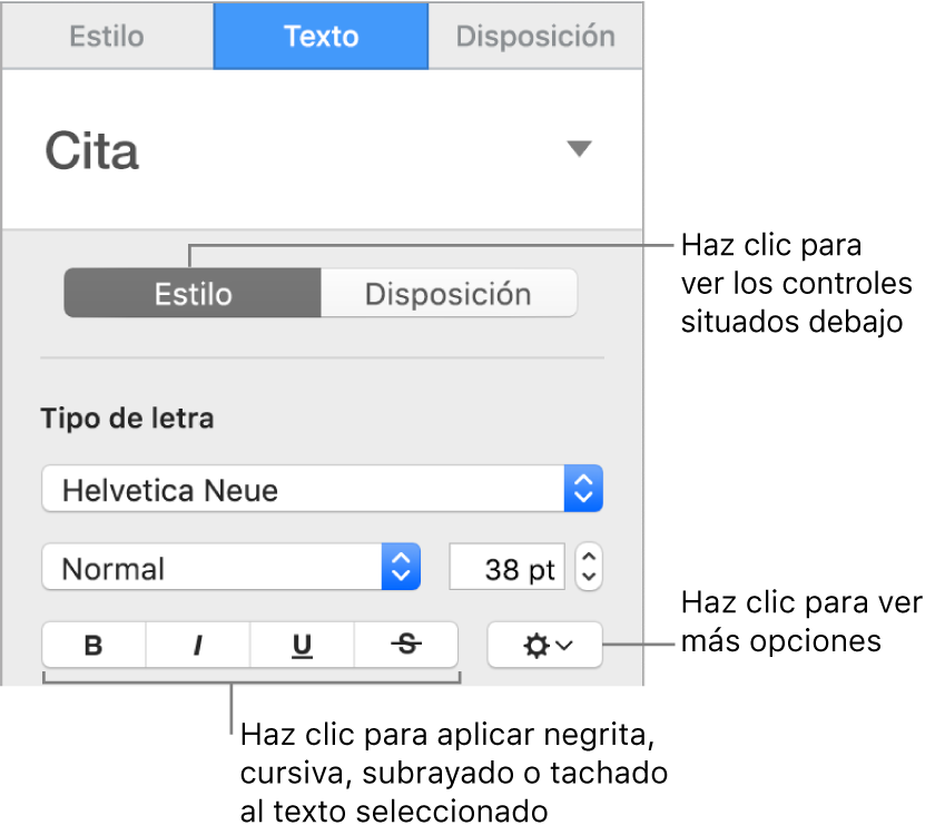 Los controles de Estilo de la barra lateral con llamadas a los botones de Negrita, Cursiva, Subrayado y Tachado.