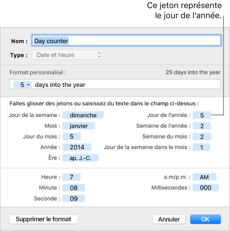 Fenêtre de format de cellule personnalisé présentant les commandes permettant de créer un format de date et d’heure personnalisé.