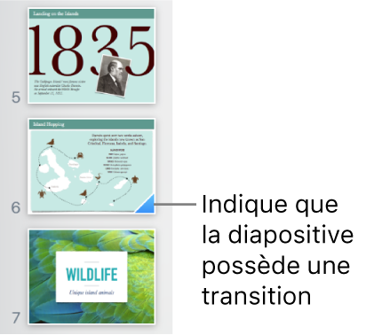Un triangle bleu sur une diapositive indique que la diapositive comporte une transition.