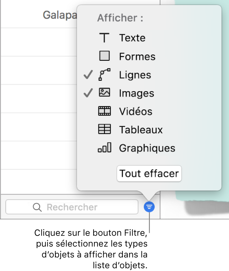 Le menu contextuel Filtrer ouvert, avec les types d’objets qui peuvent être compris dans la liste (texte, formes, lignes, images, films, tableaux et graphiques).