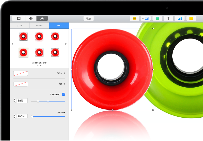 כלי הבקרה של ״עיצוב״ לשינוי הגודל והמראה של התמונה שנבחרה הכפתורים ״סגנון״, ״תמונה״ ו״ארגן״ ממוקמים מעל כלי הבקרה.