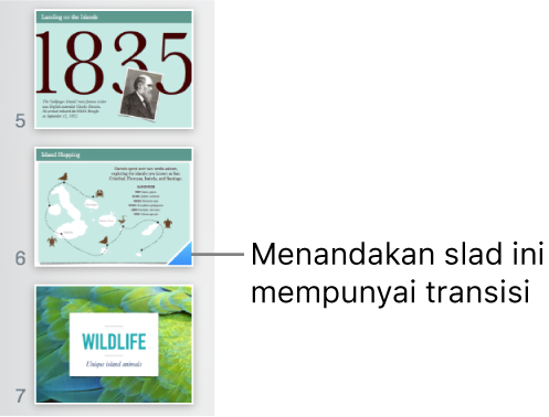 Segi tiga biru pada slaid menunjukkan bahawa slaid mempunyai transisi.