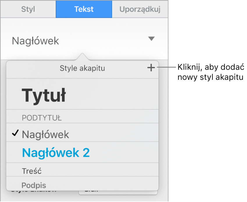 Menu Style akapitu z objaśnieniem przycisku Nowy styl.