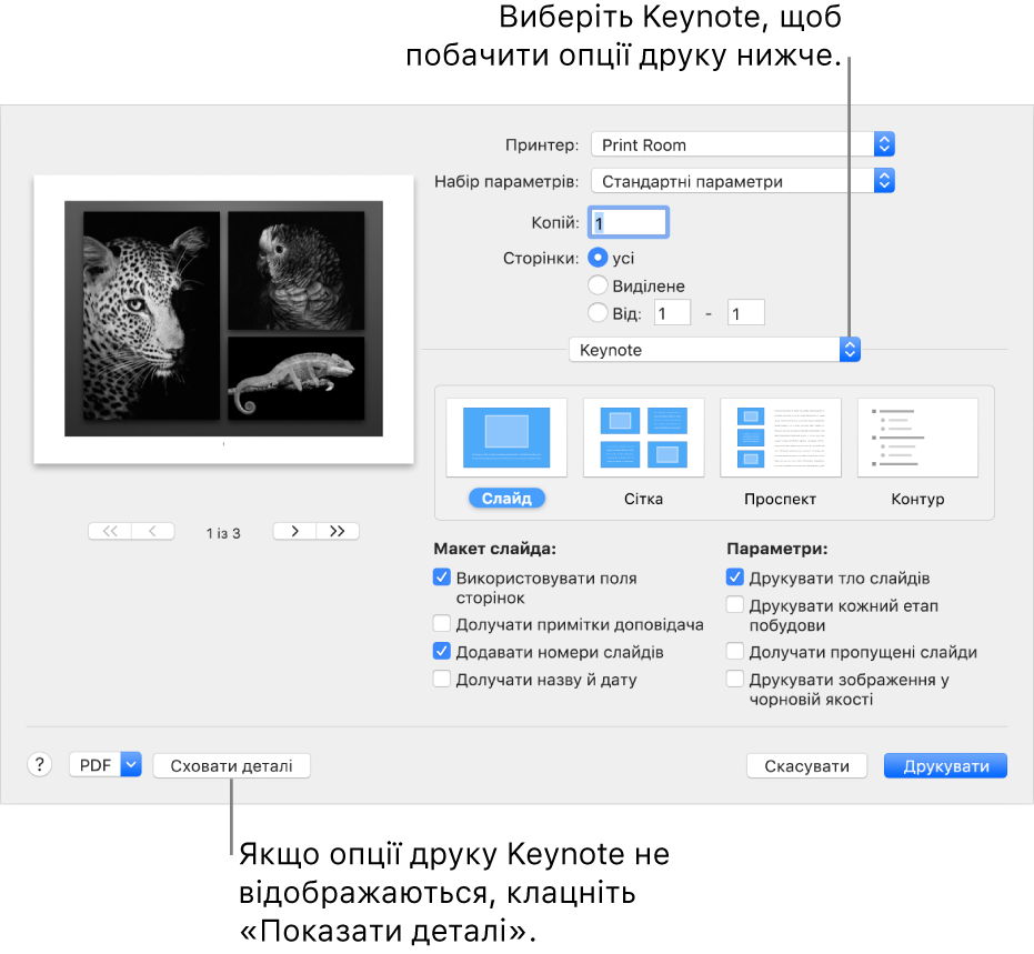 Діалогове вікно «Друк» з вибраним елементом «Keynote» у спливному меню під елементом «Pages». Нижче відображаються макети друку для формату «Слайд», «Сітка», «Проспект» і «Структура», вибрано «Слайд». Нижче макетів показано прапорці для відображення полів включно з примітками доповідача, зображеннями якості чернетки на друк та іншими опціями.