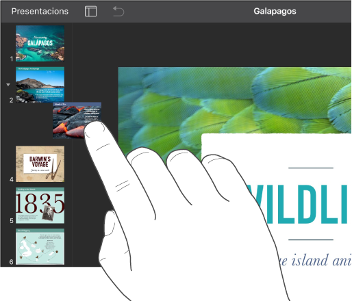 Imatge d’un dit arrossegant la miniatura d’una diapositiva des del navegador de diapositives.