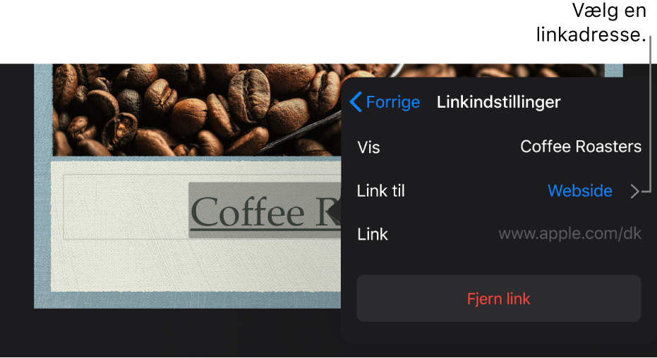 Vinduet Linkindstillinger med felterne Vis, Link til (Webside er valgt) og Link. Knappen Fjern link vises nederst.