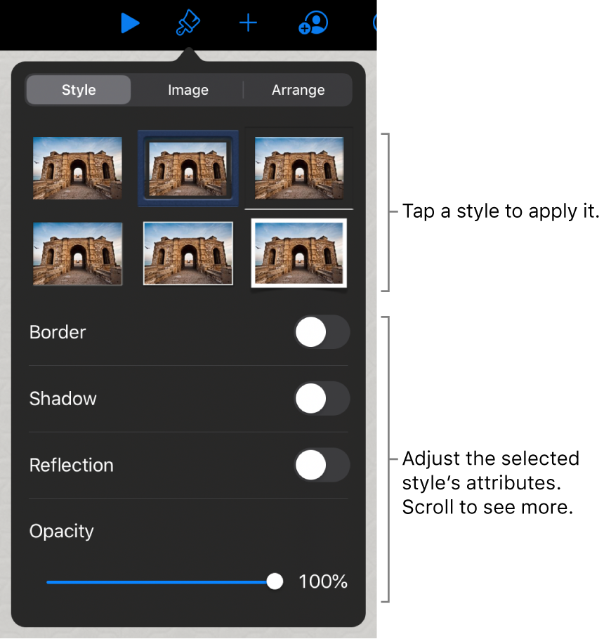 The Style tab of the Format menu with object styles at the top and controls below them to change the border, shadow, reflection, and opacity.